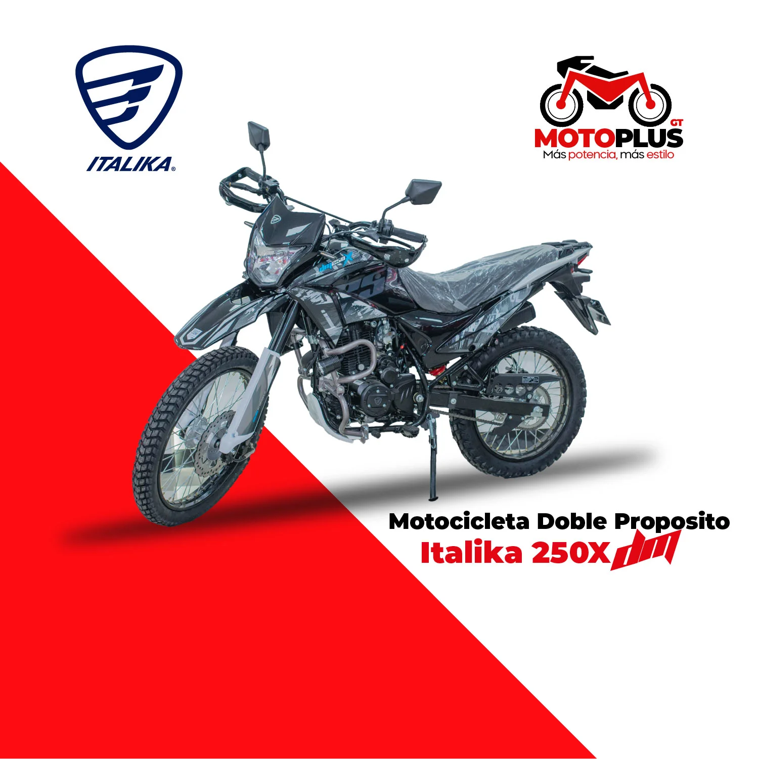 Motocicleta Italika DM 250X Negro y Gris