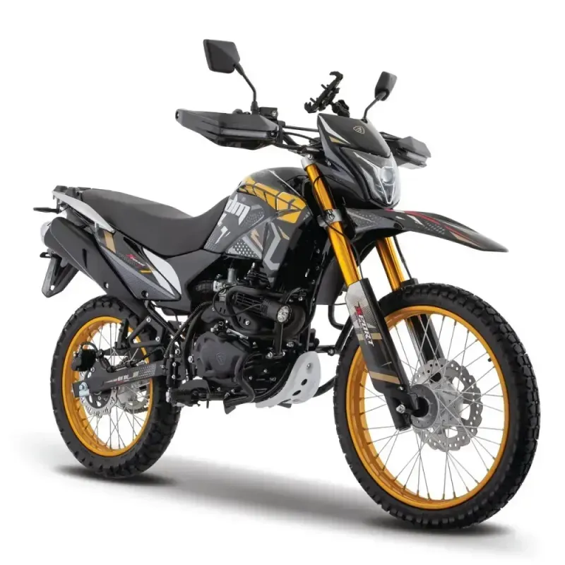 Moto Doble Proposito DM 300 Negra/Dorada